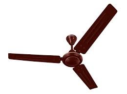 Celling Fans
